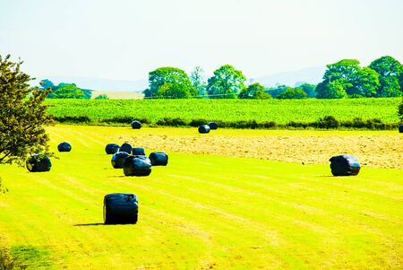 Bales of silage on a field in summertime just after grass cutting UKの写真素材