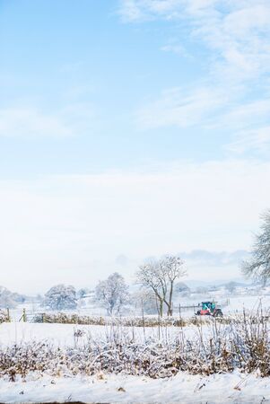 Trees and field in snow covered winter landscape UKの写真素材