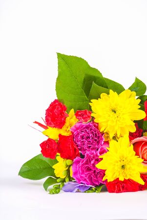 bright coloured flowers isolated on white background UKの写真素材