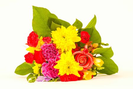 bright coloured flowers isolated on white background UKの写真素材