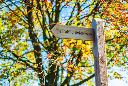 Wooden footpath sign with golden coloured beech tree behind UKの写真素材