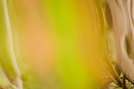 golden green wavey abstract background showing movement and shapeの写真素材