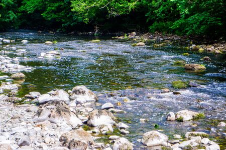 River Kent running over the rocks and pebbles with tree lined banks in summerの写真素材