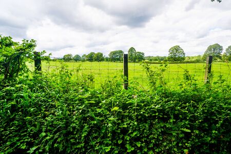 wire fence and hedge enclosing farmland at Sedgwick UKの写真素材