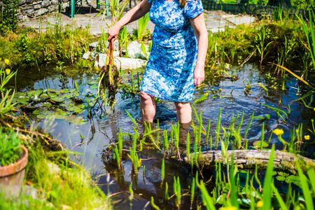 white middle aged woman cleans pond from overgrown plants UKの写真素材