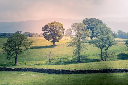 A Scenic Countryside View of a Spacious Open Grassland Field and a Blue Sky Above UKの写真素材