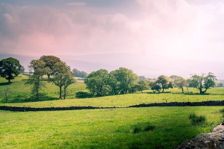 A Scenic Countryside View of a Spacious Open Grassland Field and a Blue Sky Above UKの写真素材