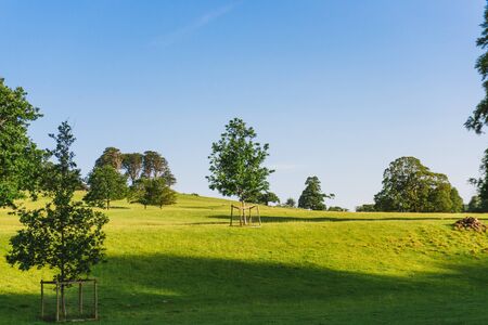 The open parkland of Dallam Park on a sunny evening Milnthorpe,の写真素材