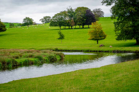 River Bela at Dallam Park, Milnthorpe, Cumbria, England