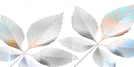 silver grey and orange leaves on a plain white backgoundの写真素材