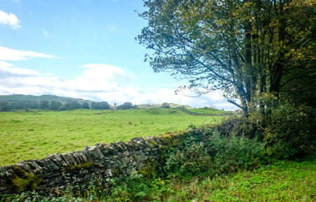 View across open farmland near Ings in the Lake Distictの写真素材