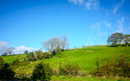 View across open farmland near Ings in the Lake Distictの写真素材