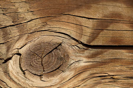 Close up of wood pattern with knotの写真素材