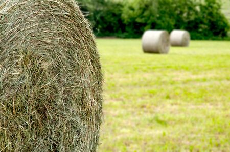 Hay roll foreground and background 2 hay rollsの写真素材