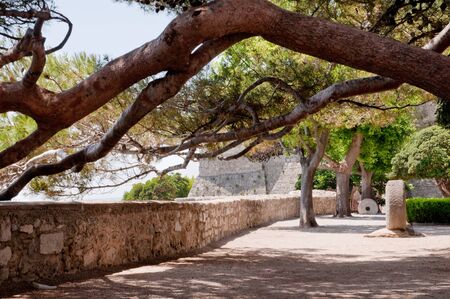 Under the trees on square near Frankopan fortress at Krk - Croatiaの写真素材