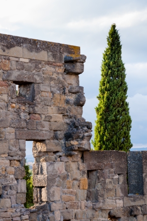 Detail of wall from Carcassonne medieval city in Franceの写真素材