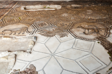 Restored mosaics floor at Aquileia Basilica in Italyのeditorial素材