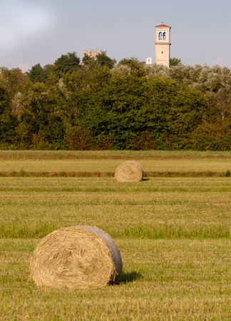 Hay rolls and Belfry vertical viewの写真素材