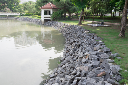 public parkの写真素材