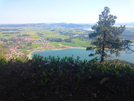 cliff view on a lake with tree saplingsの写真素材