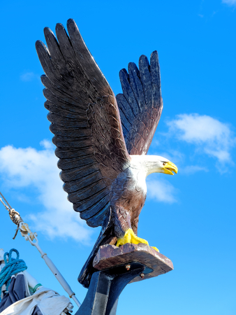 An eagle in the bow of a ship.の写真素材