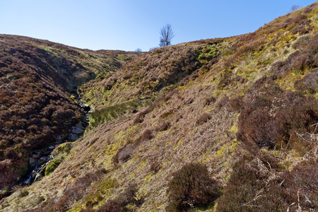 Springtime view of the stream in the mountains of Snowdonia.の写真素材