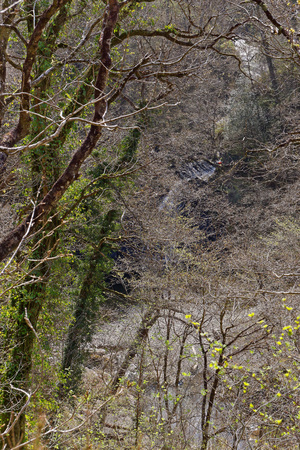 View of a waterfall on a tourist trail in the mountains of Snowdonia, Wales.の写真素材
