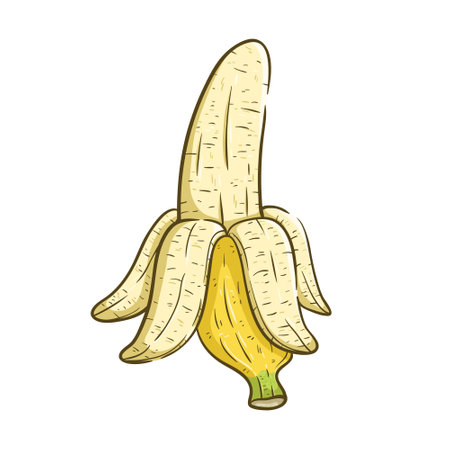 Banana icon. Cartoon illustration of banana vector icon for web designのイラスト素材