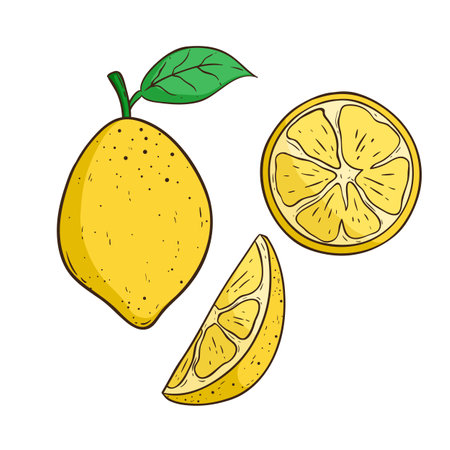 Lemon. Hand drawn vector illustration. Isolated on white background.のイラスト素材