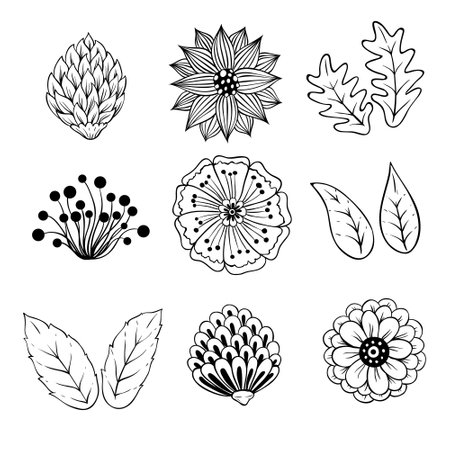 Set of hand drawn flowers and leaves. Black and white vector illustration.のイラスト素材