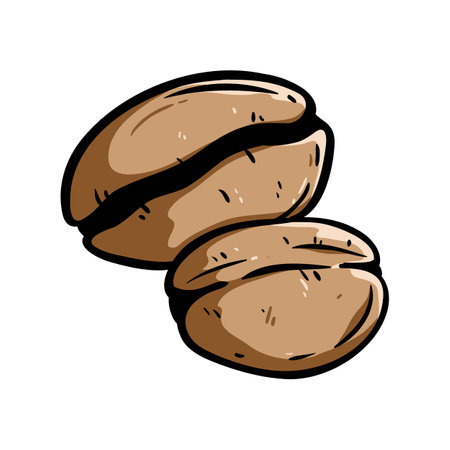 Coffee beans. Hand drawn vector illustration of coffee beans.のイラスト素材