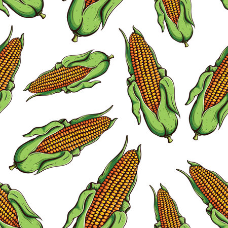 Vector seamless pattern with corn on the cob. Hand drawn illustration.