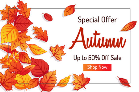 Autumn sale banner with falling leaves on white background. Vector illustration.のイラスト素材