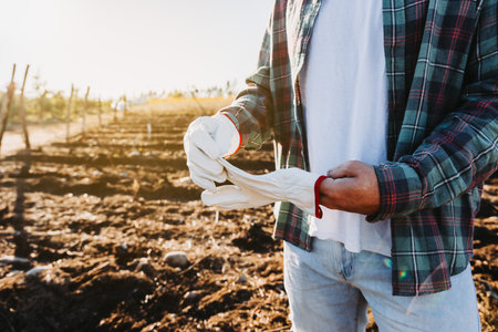 Unrecognizable farmer man wearing gardening gloves in the middle of the field. Agricultural sustainability concept.の写真素材