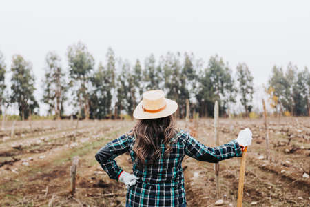 Unrecognizable latin woman farmer taking a rest from the work and holding a shovel in the farmland....