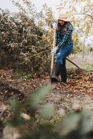 farmer woman using the shovel to make a furrow in the groundの写真素材