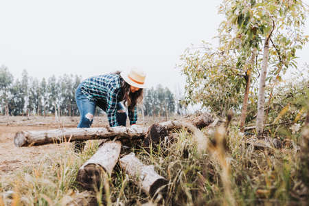 Young latin peasant woman moving wooden logs on a cloudy day.の写真素材