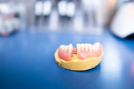 Isolated artificial jaw. Dental Prosthesis. Zirconium porcelain tooth plate. Prosthetics workの写真素材