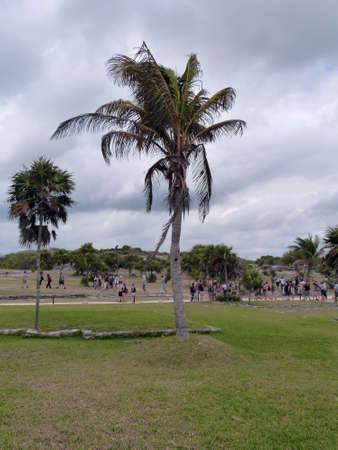 Tulum city ruins - Mexicoのeditorial素材
