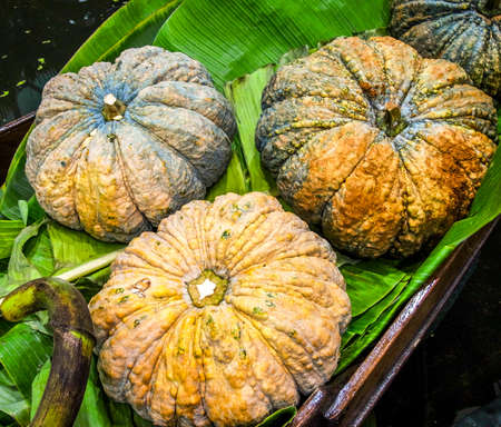 Pumpkin