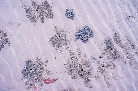 Sand backgroundの写真素材