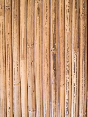 Bamboo textureの写真素材