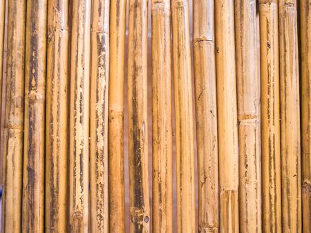 Bamboo textureの写真素材