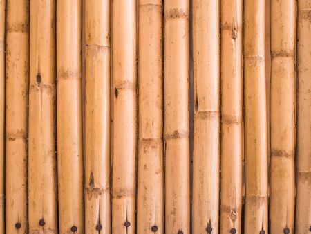 Bamboo textureの写真素材