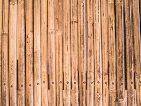Bamboo textureの写真素材
