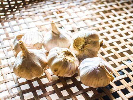 Garlicの写真素材