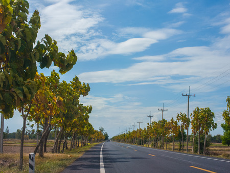 Main road in countrysideの写真素材