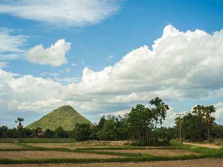 Rice field with mountain and skyの写真素材