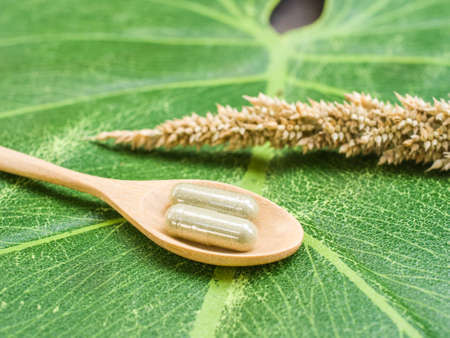 Herbs capsules on spoonの写真素材