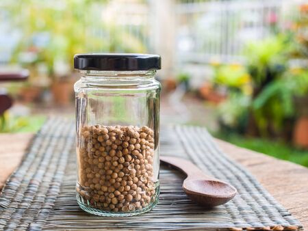 Dried coriander seeds on bottleの写真素材